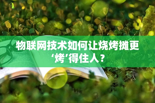 物联网技术如何让烧烤摊更‘烤’得住人？