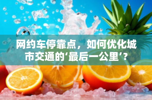网约车停靠点，如何优化城市交通的‘最后一公里’？