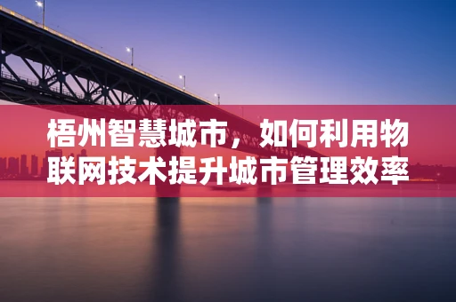 梧州智慧城市，如何利用物联网技术提升城市管理效率？