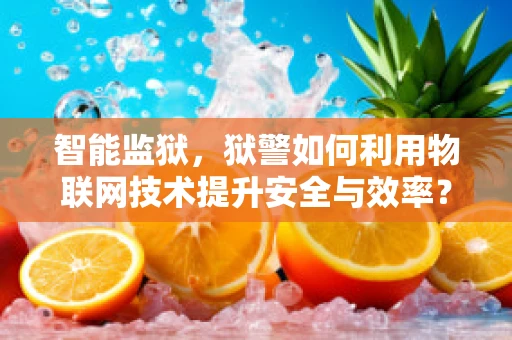智能监狱，狱警如何利用物联网技术提升安全与效率？