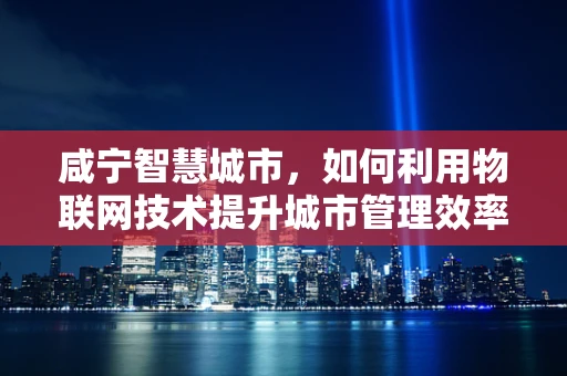 咸宁智慧城市，如何利用物联网技术提升城市管理效率？