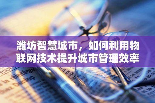 潍坊智慧城市，如何利用物联网技术提升城市管理效率？