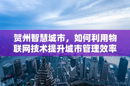 贺州智慧城市，如何利用物联网技术提升城市管理效率？
