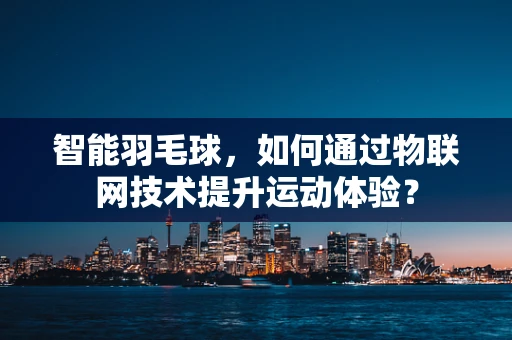 智能羽毛球，如何通过物联网技术提升运动体验？