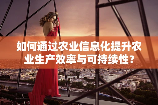 如何通过农业信息化提升农业生产效率与可持续性？