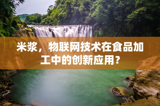 米浆，物联网技术在食品加工中的创新应用？