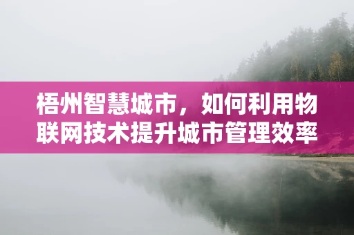 梧州智慧城市，如何利用物联网技术提升城市管理效率？
