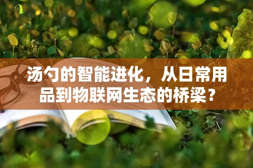 汤勺的智能进化，从日常用品到物联网生态的桥梁？