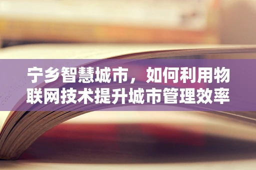 宁乡智慧城市，如何利用物联网技术提升城市管理效率？