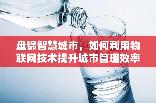 盘锦智慧城市，如何利用物联网技术提升城市管理效率？