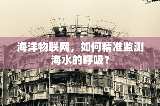 海洋物联网，如何精准监测海水的呼吸？