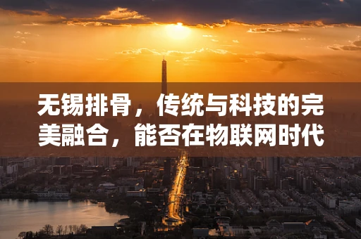 无锡排骨，传统与科技的完美融合，能否在物联网时代焕发新生？