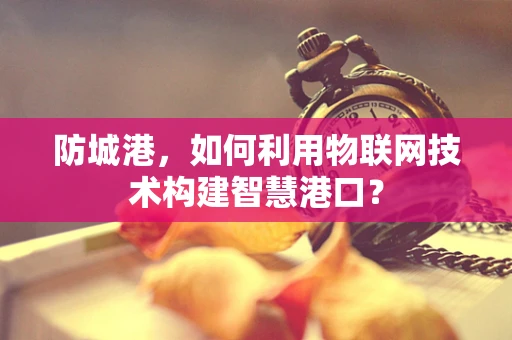 防城港，如何利用物联网技术构建智慧港口？