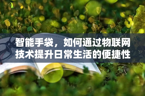 智能手袋，如何通过物联网技术提升日常生活的便捷性？