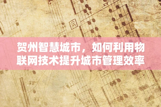 贺州智慧城市，如何利用物联网技术提升城市管理效率？
