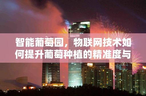 智能葡萄园，物联网技术如何提升葡萄种植的精准度与效率？