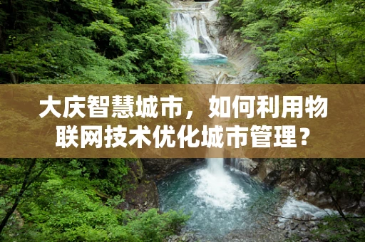 大庆智慧城市，如何利用物联网技术优化城市管理？