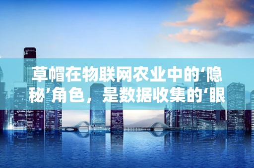 草帽在物联网农业中的‘隐秘’角色，是数据收集的‘眼睛’吗？