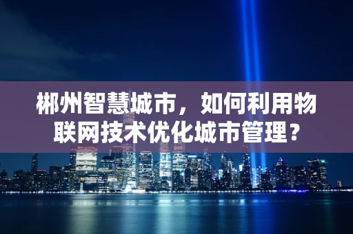 郴州智慧城市，如何利用物联网技术优化城市管理？