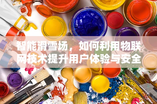 智能滑雪场，如何利用物联网技术提升用户体验与安全？