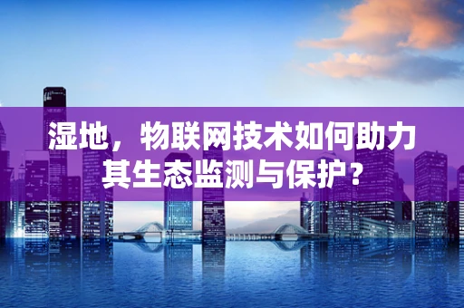 湿地，物联网技术如何助力其生态监测与保护？