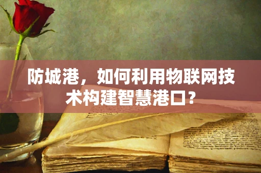 防城港，如何利用物联网技术构建智慧港口？