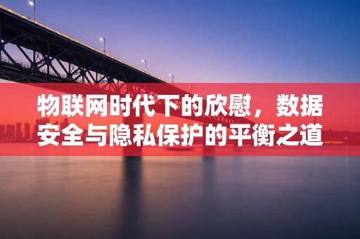 物联网时代下的欣慰，数据安全与隐私保护的平衡之道