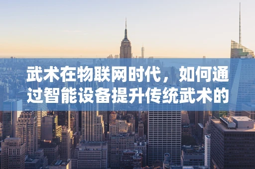 武术在物联网时代，如何通过智能设备提升传统武术的练习与传承？