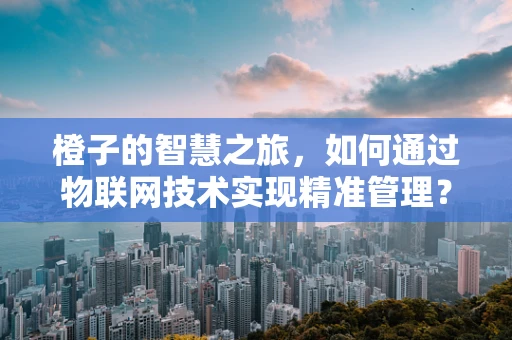 橙子的智慧之旅，如何通过物联网技术实现精准管理？