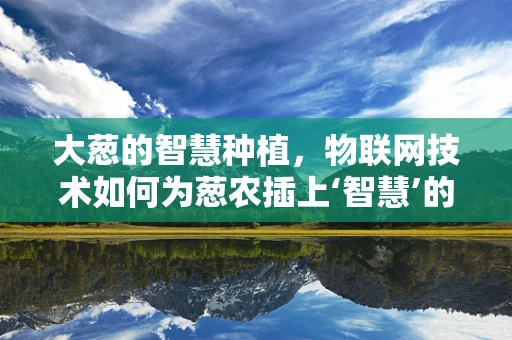 大葱的智慧种植，物联网技术如何为葱农插上‘智慧’的翅膀？