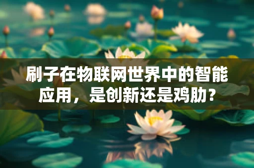 刷子在物联网世界中的智能应用，是创新还是鸡肋？