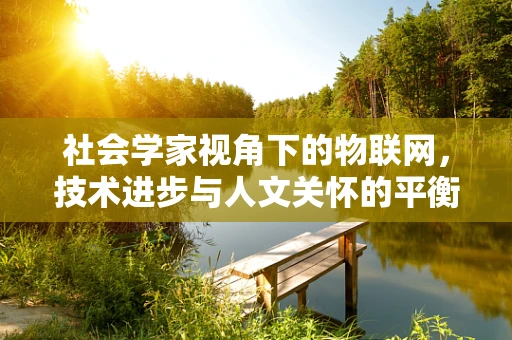 社会学家视角下的物联网，技术进步与人文关怀的平衡点何在？