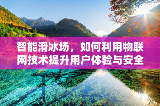 智能滑冰场，如何利用物联网技术提升用户体验与安全？