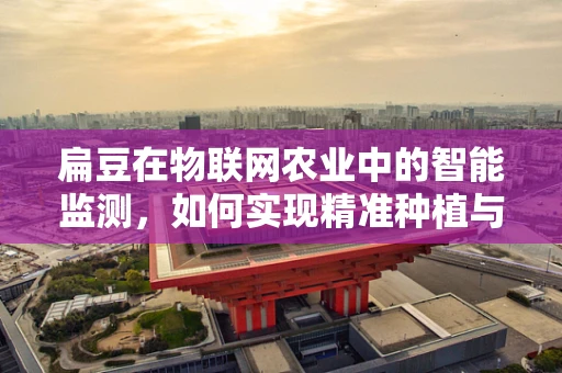 扁豆在物联网农业中的智能监测，如何实现精准种植与收获？