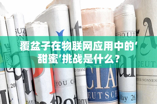 覆盆子在物联网应用中的‘甜蜜’挑战是什么？