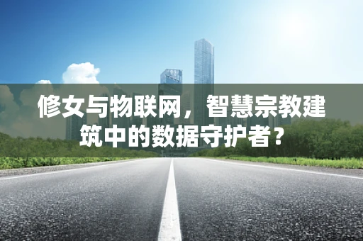 修女与物联网，智慧宗教建筑中的数据守护者？