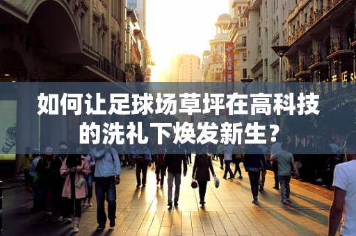 如何让足球场草坪在高科技的洗礼下焕发新生？
