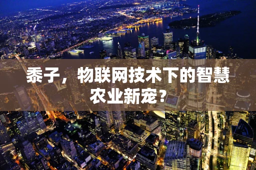 黍子，物联网技术下的智慧农业新宠？