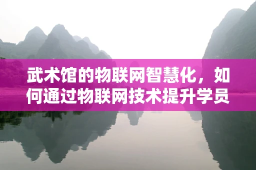 武术馆的物联网智慧化，如何通过物联网技术提升学员体验与安全？