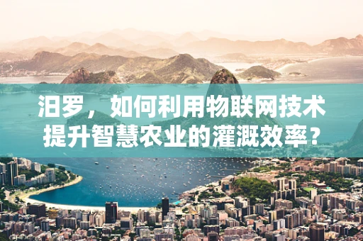汨罗，如何利用物联网技术提升智慧农业的灌溉效率？