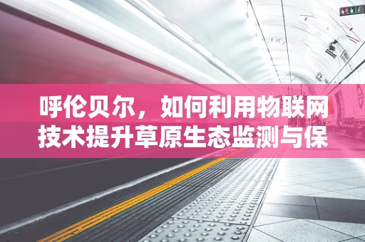 呼伦贝尔，如何利用物联网技术提升草原生态监测与保护？