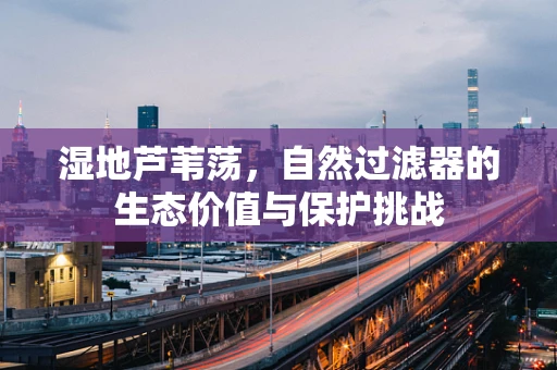 湿地芦苇荡，自然过滤器的生态价值与保护挑战