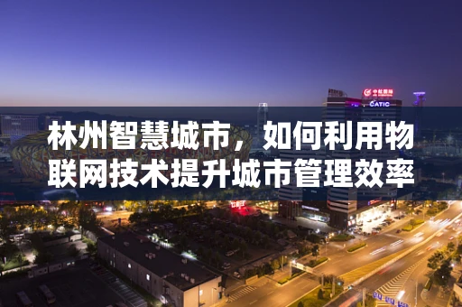 林州智慧城市，如何利用物联网技术提升城市管理效率？