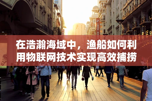 在浩瀚海域中，渔船如何利用物联网技术实现高效捕捞？