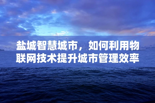 盐城智慧城市，如何利用物联网技术提升城市管理效率？