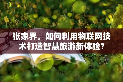 张家界，如何利用物联网技术打造智慧旅游新体验？