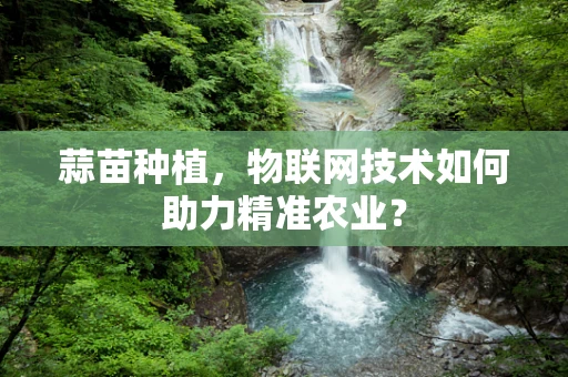 蒜苗种植，物联网技术如何助力精准农业？