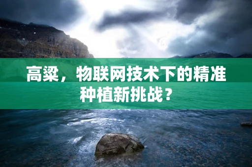 高粱，物联网技术下的精准种植新挑战？