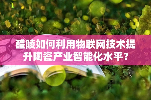 醴陵如何利用物联网技术提升陶瓷产业智能化水平？