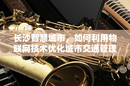 长沙智慧城市，如何利用物联网技术优化城市交通管理？